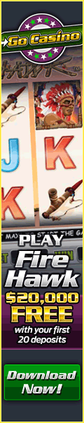 Play Fire Hawk!