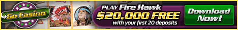 Play Fire Hawk!